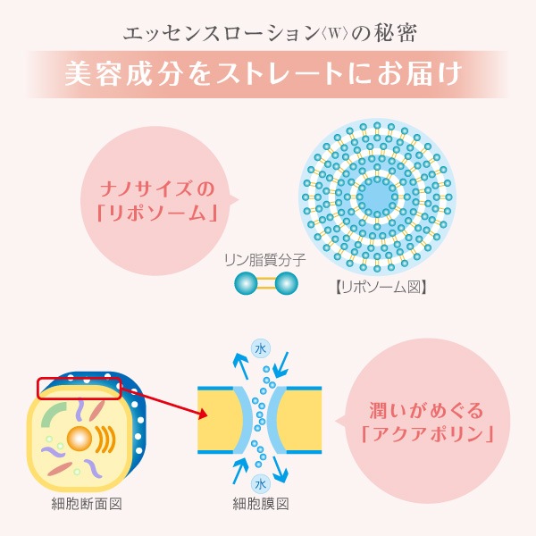 ラシンシア エッセンスローション＜W＞ 180mL 店販可