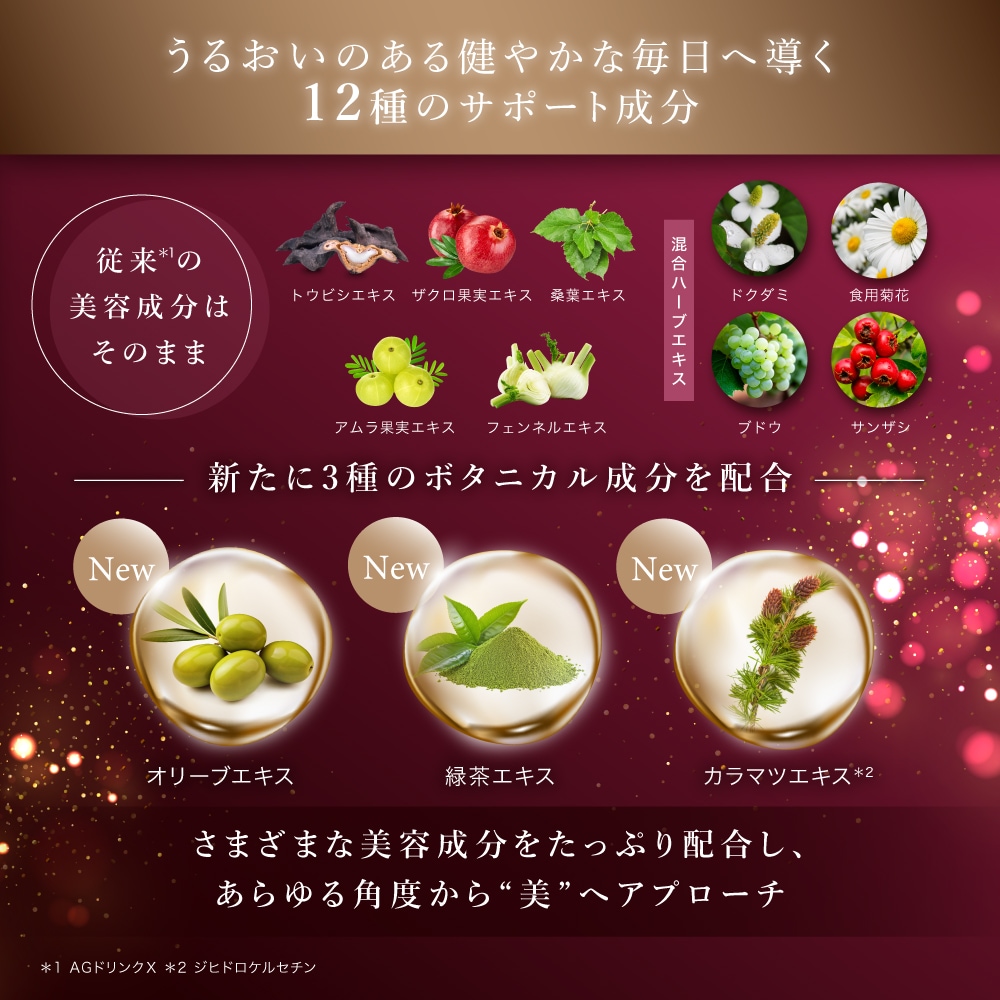 エイジーセオリー（AGTHEORY） AGドリンクXI 25mL×30本