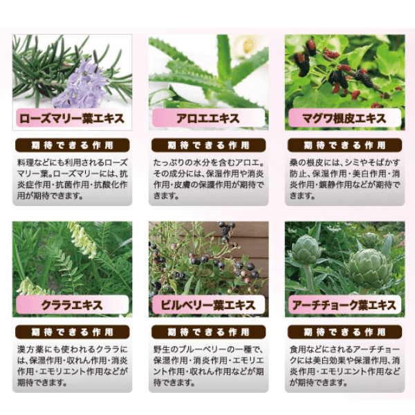 モアナチュリー モイストcfジェル 優しいフローラルの香り 1kg MOIST cf GEL 国産 拭き取り不要