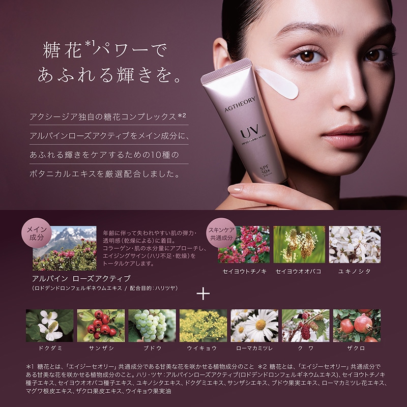 アクシージア エイジーセオリー リッチクリーム 30g 2個セット AXXZIA