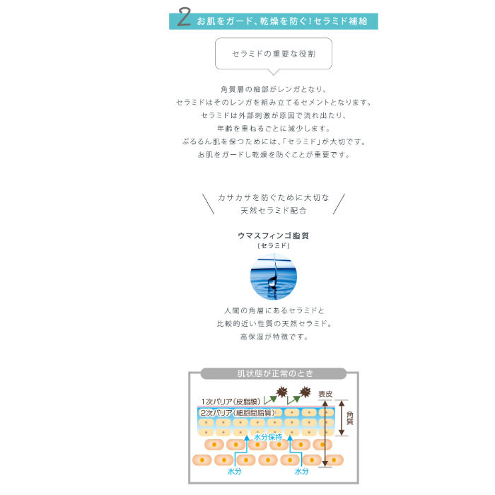 ラシンシア 薬用ATP ゲルクレンジング 200mL 店販可