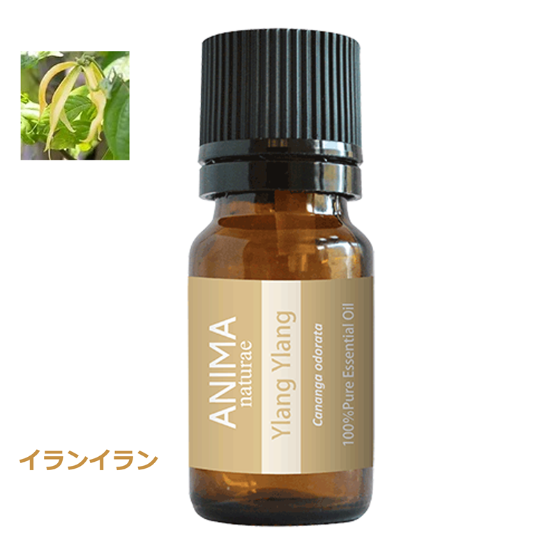 イランイラン 10ml ANIMA naturae(アニマ ナチュラエ)
