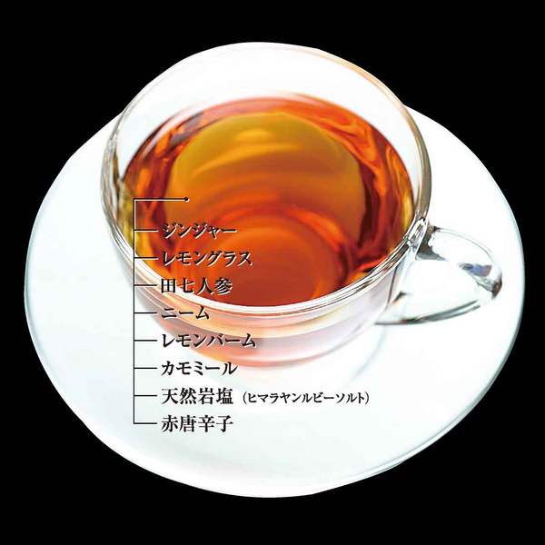 エステプロラボ スパバーニング ハーブティー プロ 10包