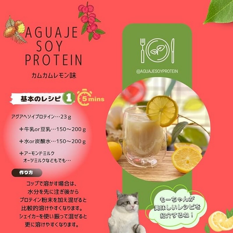 アグアヘ ソイプロテイン カムカム＆レモン味 230g
