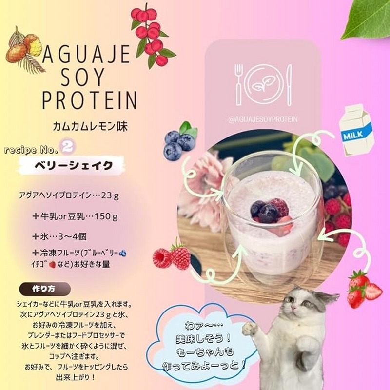 アグアヘ ソイプロテイン カムカム＆レモン味 230g