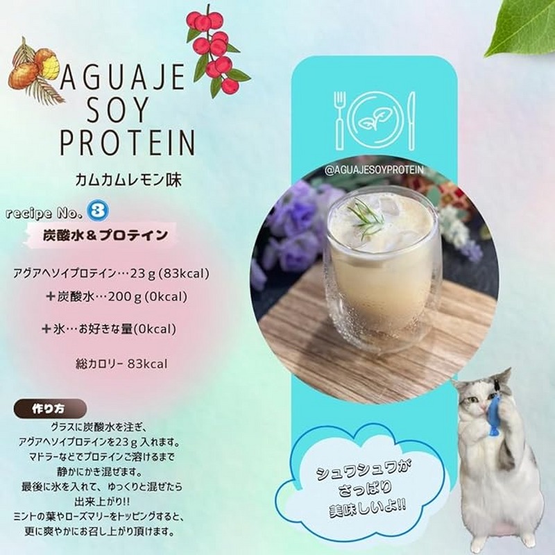 アグアヘ ソイプロテイン カムカム＆レモン味 230g