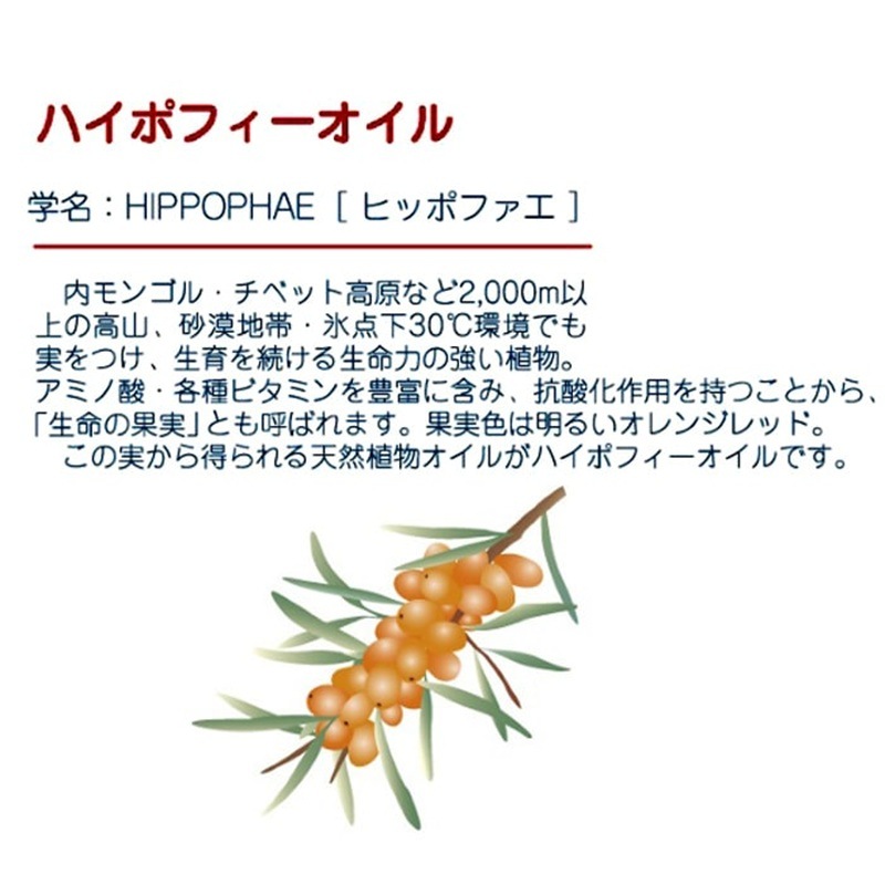 IDケア ハイポフィー 75ml 業務用 MEROS(メロス)