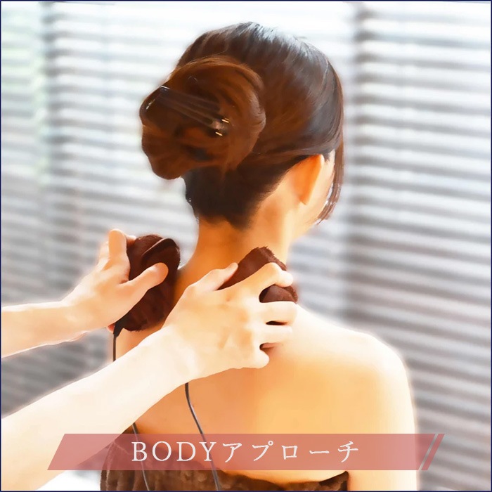 スパトリートメント エレクトロフィールセラピー 全身美容機器