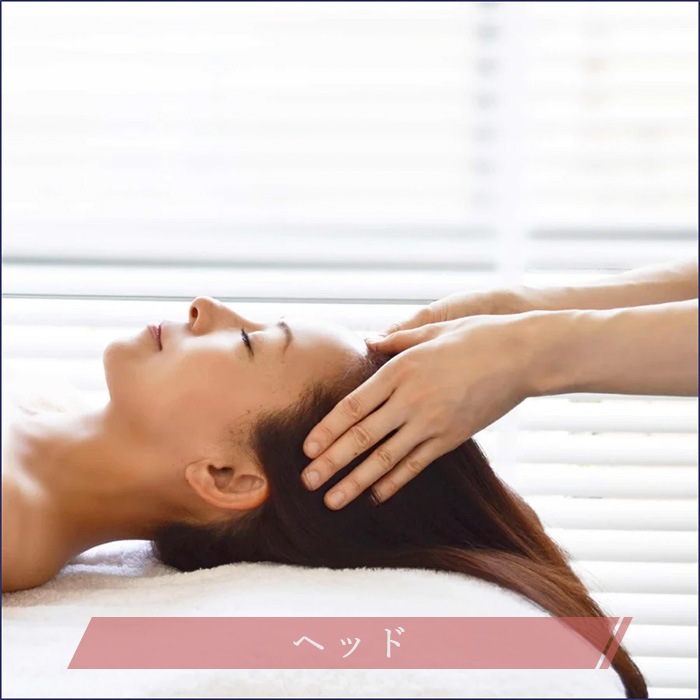 スパトリートメント エレクトロフィールセラピー 全身美容機器