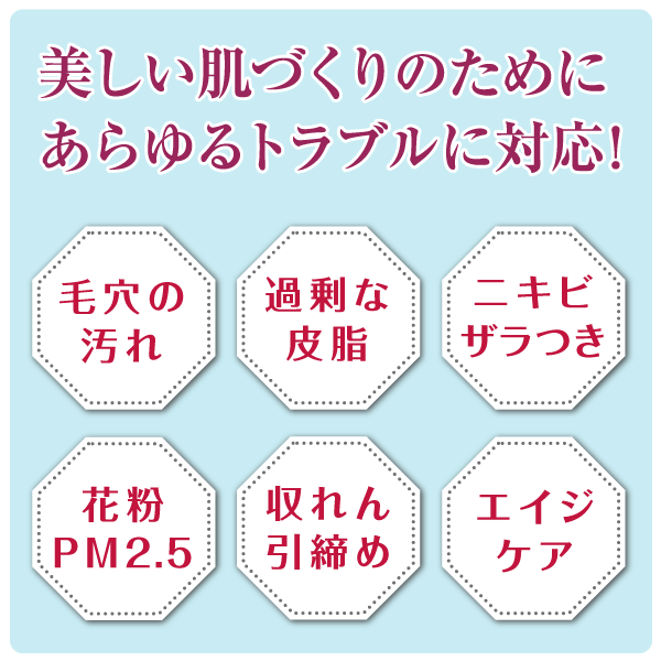 ラシンシア リポデルム ファンゴクレイマスク 業務用340gの商品