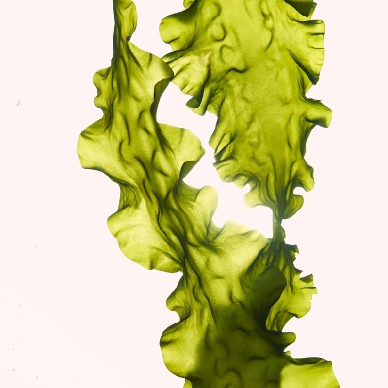 ANNEMARIE BORLIND(アンネマリー ボーリンド) SA ビューティ フルイド 50ml