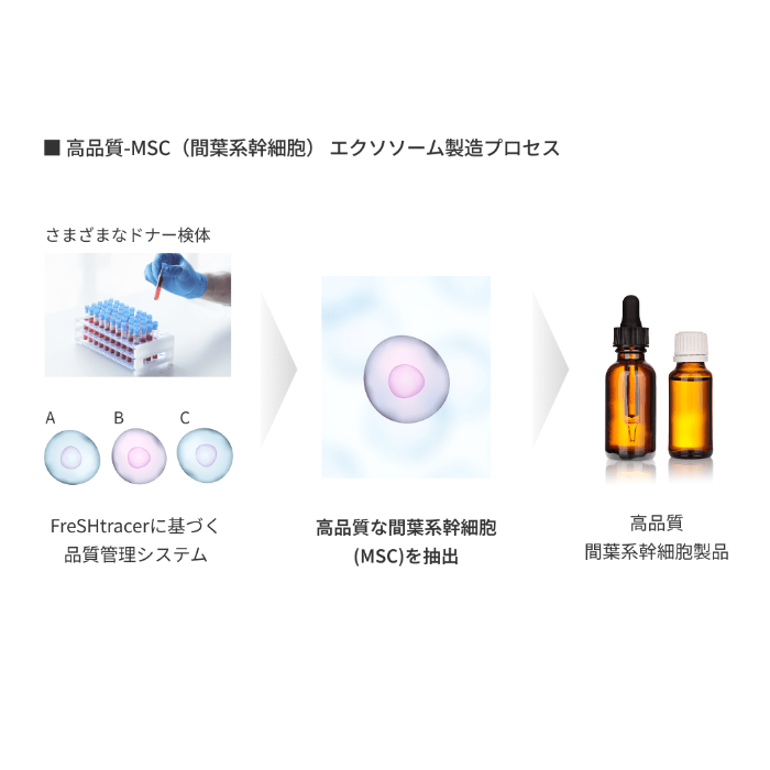 臍帯由来エクソソーム ExoVesicle(エクソベーシクル)パウダー 1箱 3g×5本