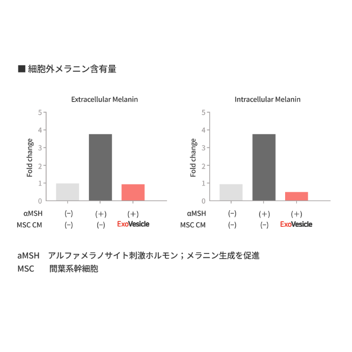 臍帯由来エクソソーム ExoVesicle(エクソベーシクル)パウダー 1箱 3g×5本