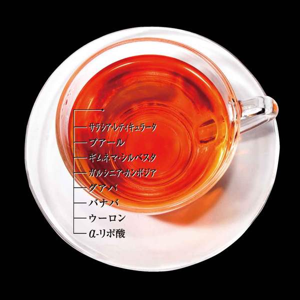 エステプロラボ F-ブロッカー ハーブティープロ 30包