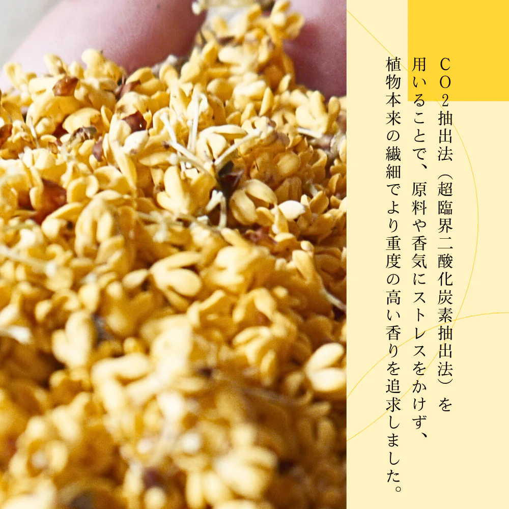 生活の木 金木犀 ブレンド精油 10mL