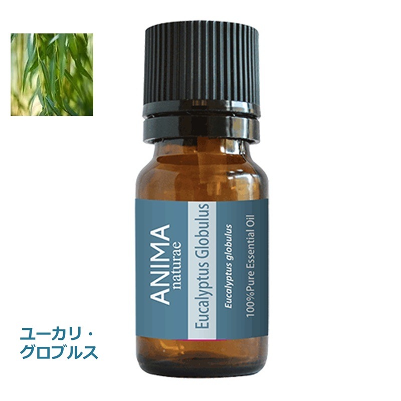 ユーカリ・グロブルス 10ml ANIMA naturae(アニマ ナチュラエ)