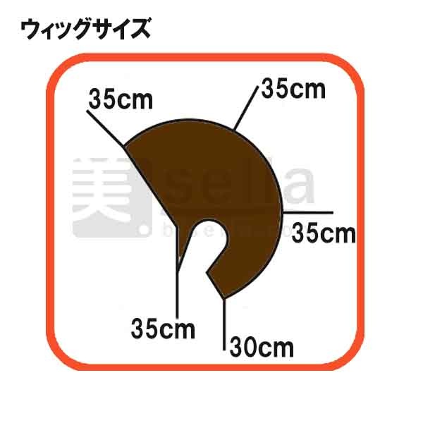 カットウィッグ A-386 人毛 耳付き