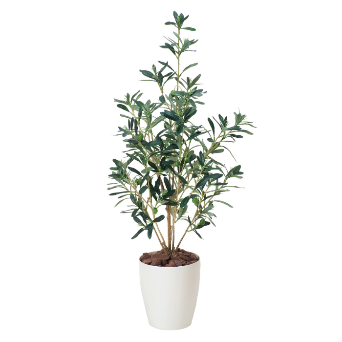 グリーンディスプレイ オリーブ 植栽 人工樹木 観葉植物
