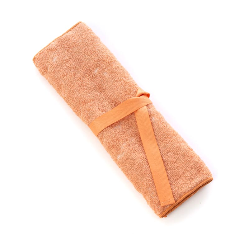 ＜今治タオル＞ハートウエル(HARTWELL) モウカワイターノ 歯ブラシケース 2枚セット （全3色）