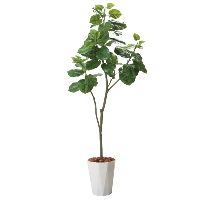 グリーンディスプレイ 180CMウンベラータポット 植栽 人工樹木 観葉植物