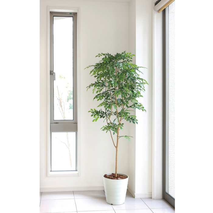 グリーンディスプレイ 180CMパキラポット 植栽 人工樹木 観葉植物