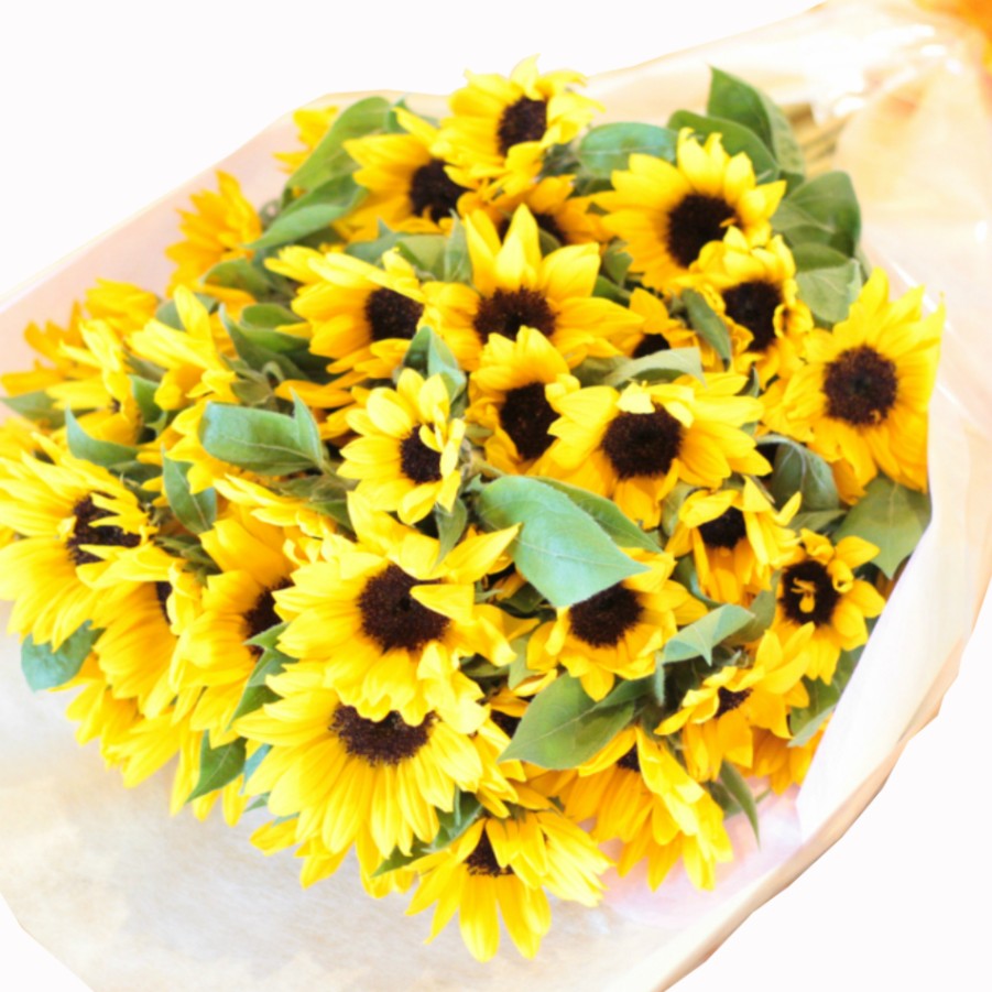 送料 クール便 ラッピング無料 ヒマワリ 50本 花束 ひまわり 向日葵 送料 クール便 ラッピング無料 ヒマワリ 50本 花束 ひまわり 向日葵