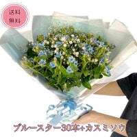 すべての商品 | Bises Flower（ビズフラワー）全国に人気のバラ