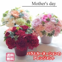 ブーケタイプ | Bises Flower（ビズフラワー）全国に人気のバラ