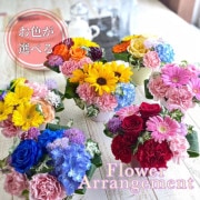 【せっちゃん❗️】極上品 50cmラベンダー生花100本✖️10束　クール便 シーンで選ぶ | Bises Flower（ビズフラワー）全国に人気のバラ