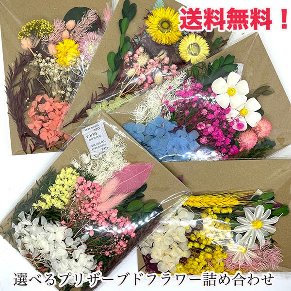 プリザーブドフラワーセット お花モチーフ インテリア装飾 レジン ピアス アクセサリーパーツ 営業日即日発送 <送料無料>
