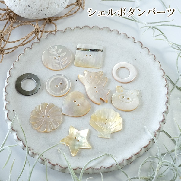 天然白蝶貝 シェル皿 25枚セット インテリア装飾用 光沢がとってもキレイなシェルボタンパーツは天然シェル白蝶貝を使用