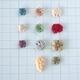 バラ売り オーストリアプラボタン プラスチックボタンパーツ ヨーロッパ手芸用品 ハンドメイドボタン 手芸用品店 アクササリーパーツ 営業日即日発送