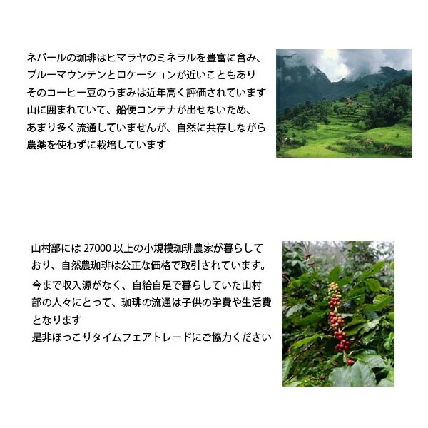 専用 オーガニック コーヒー 4250g 中挽き ネパール 高級 ネパールで有機栽培されたフェアトレードコーヒーのロースト豆は浅煎り