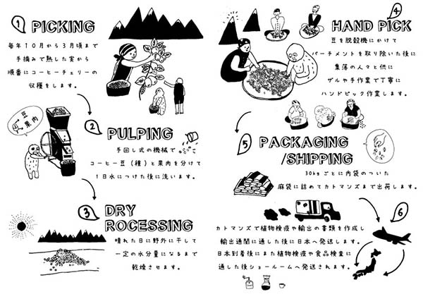 3 ネパール　エベレストコーヒー　アラビカ　ヒマラヤンコーヒー　オーガニック 20230217234838.jpg