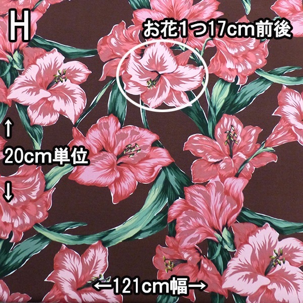 幅121cm オリジナルプリントコットン生地 日本製 双子織り 綿100％ カーテン生地 特価 営業日即日発送 【※卸対象外製品】[ワールデザインbistarai]