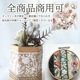 3cm幅インド刺繍リボン サリーシルク風生地 バッグ装飾 ポーチ装飾 ヘアアクセサリー 資材 上品な小花刺繍が映えるインド刺繍リボン フラワー柄 約50cmカット販売  営業日即日発送[ワールデザインbistarai]