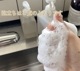 雪男ソープナッツ リキットソープナチュラル石鹸作り サポニン サスティナブルな生活 天然石鹸 ムクロジ ネパールフェアトレード 無添加低刺激石けん オーガニック 営業日即日発送 [ワールデザインbistarai]