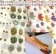 110cm幅 やわらかインド綿 花柄 ドット柄 鳥プリント布 オリジナルブロックプリント生地 GOTS認証 オーガニックコットン100％  ファブリックバスケット ブックカバー コップ袋カーテン生地 クッション 営業日即日発送 [ワールデザインbistarai]