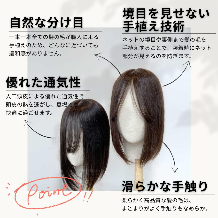 ʬå 100% ܻž夲 ʼ 30cm 40cm   إԡ (30+/40+)