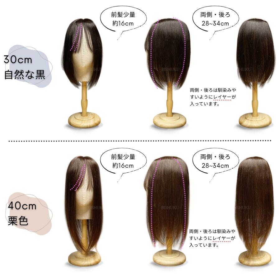 ʬå 100% ܻž夲 ʼ 30cm 40cm   إԡ (30+/40+)