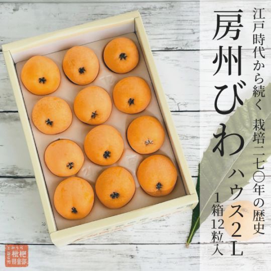 房州ハウスびわ2L（1箱：12粒入）