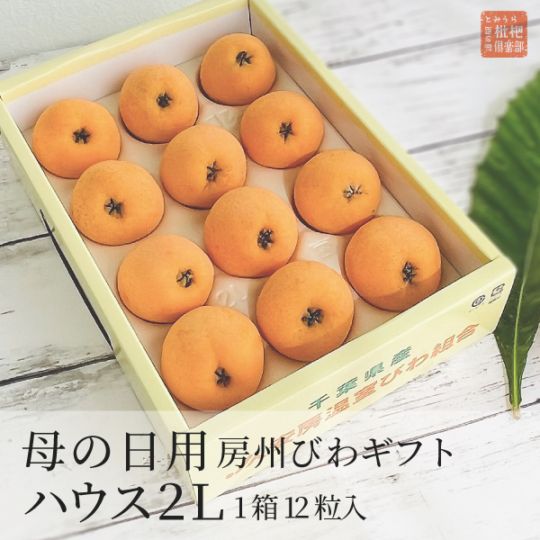 【母の日】房州ハウスびわ2Lギフト