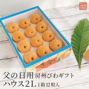 【父の日】房州露地びわ2Lギフト