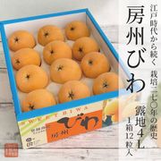 房州露地びわ4L（1箱：12粒入）