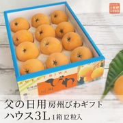 【父の日】房州露地びわ3Lギフト