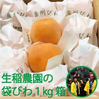【数量限定】生稲農園の袋びわ（ハウス）1kg