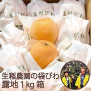 【限定】生稲農園の袋びわ（露地）1kg