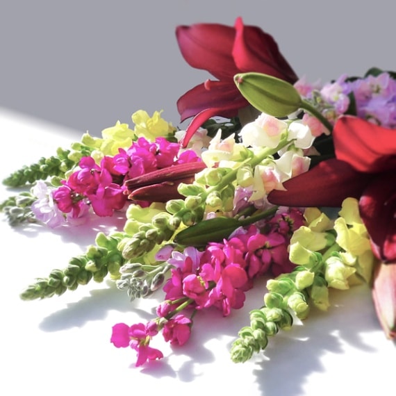 【送料無料】南房総フラワーギフト