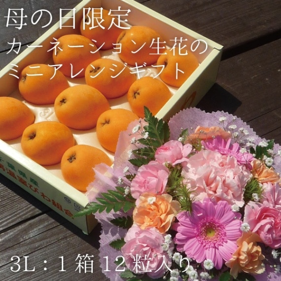 【母の日】生花ミニアレンジ付 房州ハウスびわ3Lギフト