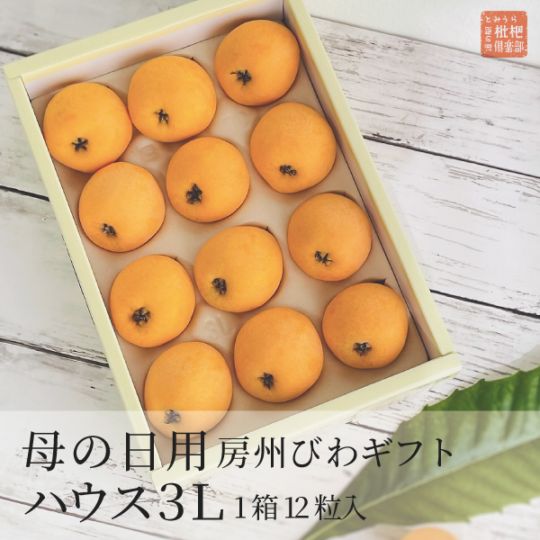 【母の日】房州ハウスびわ3Lギフト
